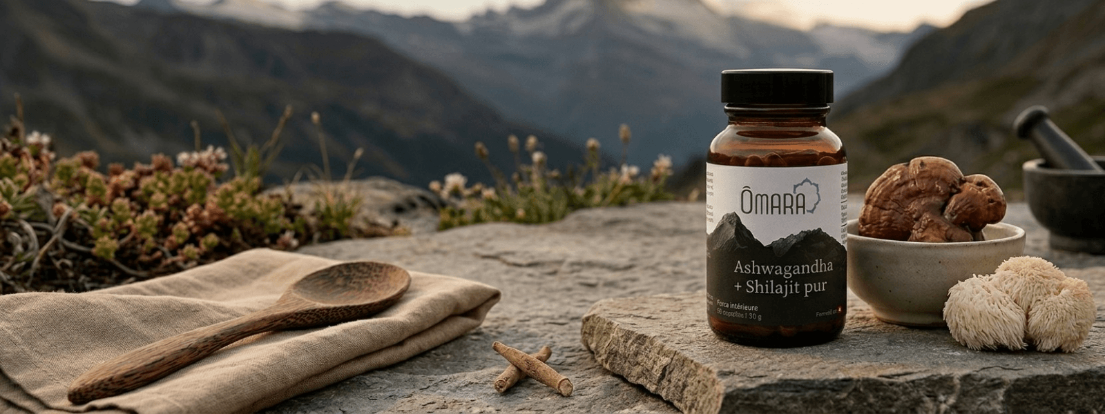 Adaptogènes et Shilajit dans un décor de nature, vendu chez Terrame, boutique suisse