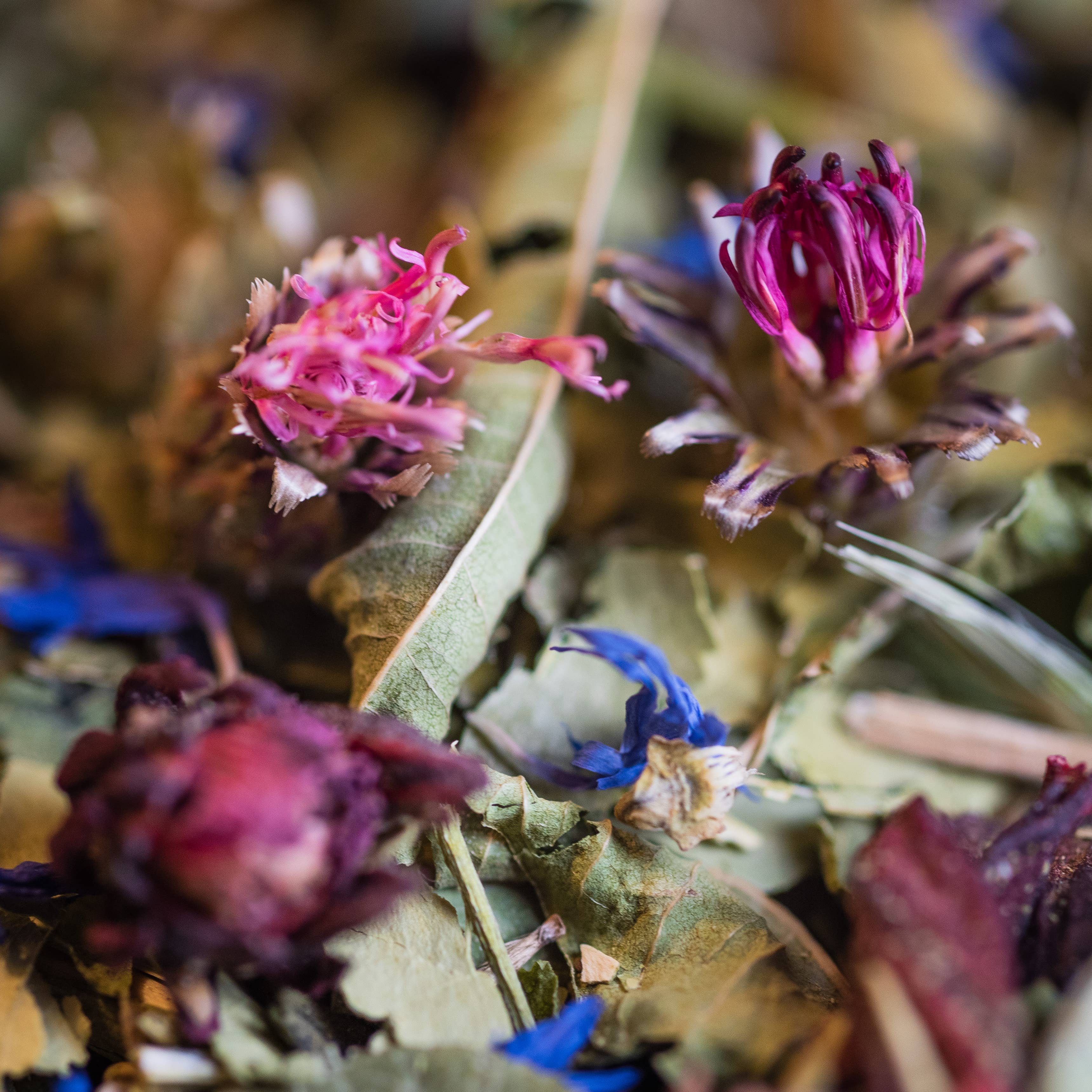 TISANE BONNE SOIREE BIO 50G