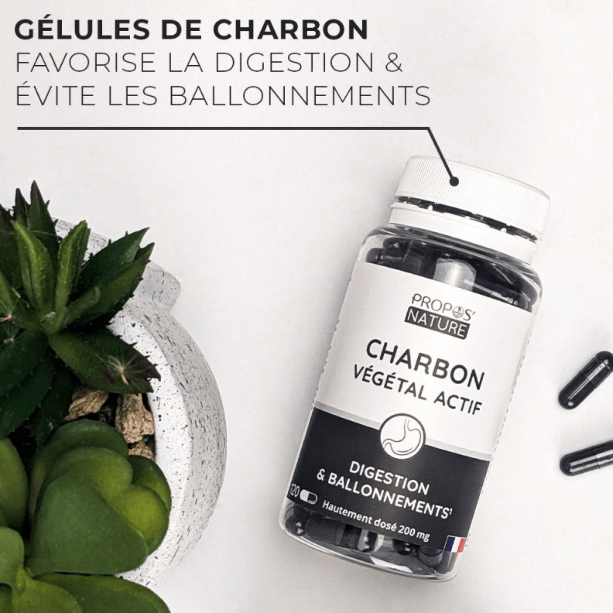 carbon végétal actif pour digestion et ballonnements, vendu en suisse chez terrame
