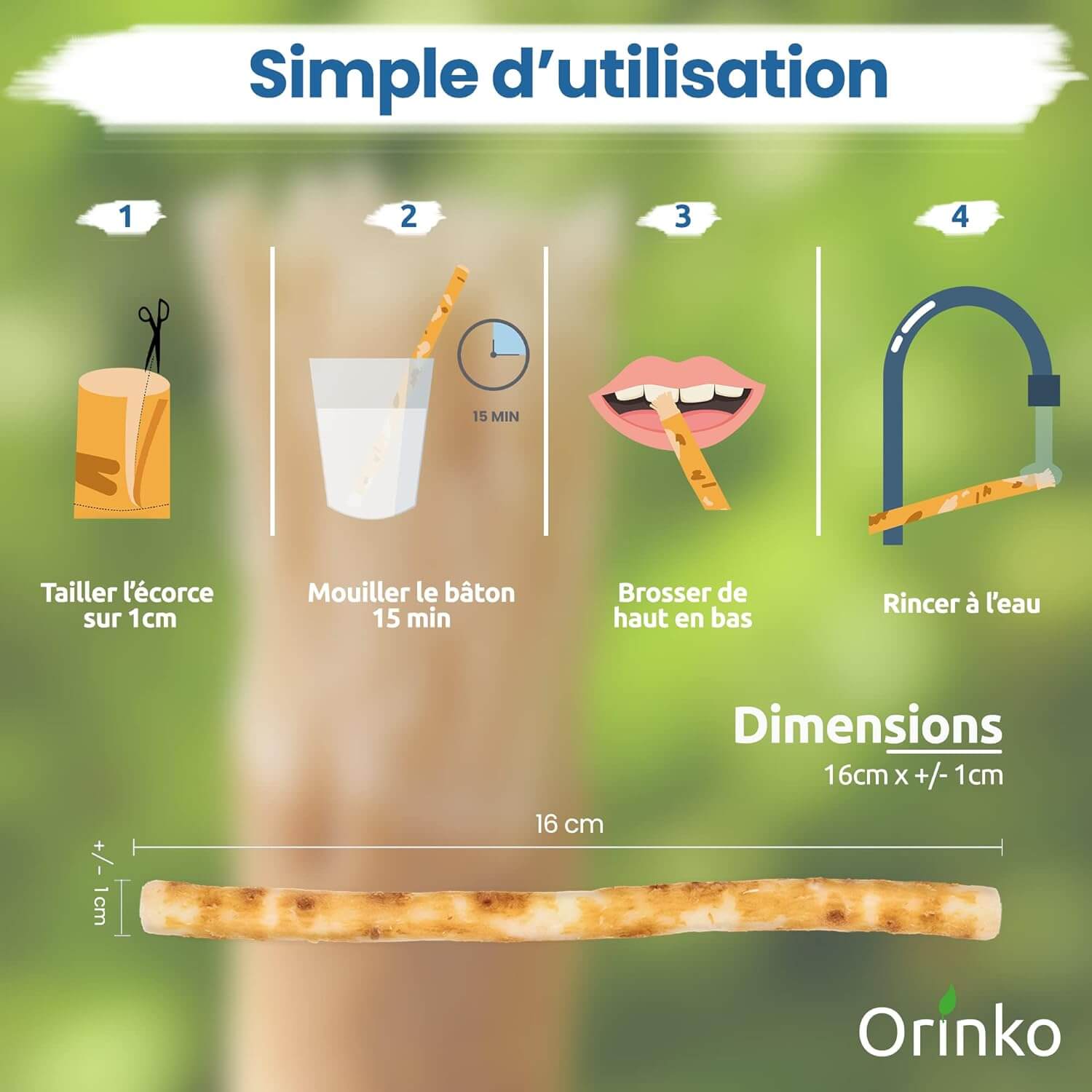 Siwak naturel avec étui, racine de Salvadora persica.