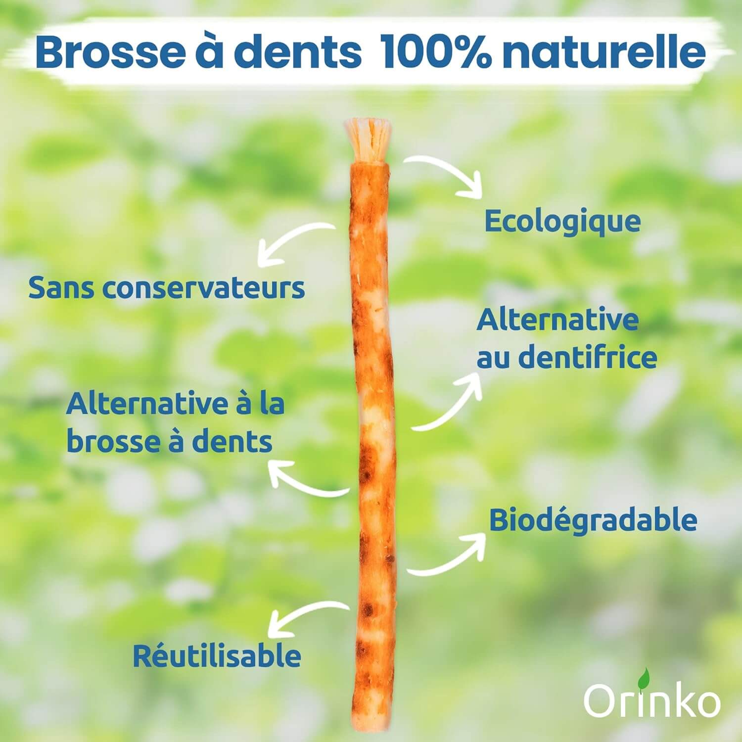 Siwak naturel avec étui, racine de Salvadora persica.