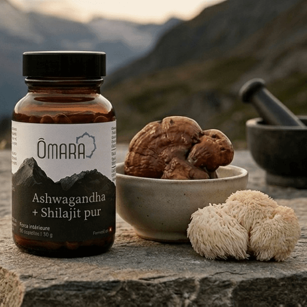 Shilajit & Adaptogènes