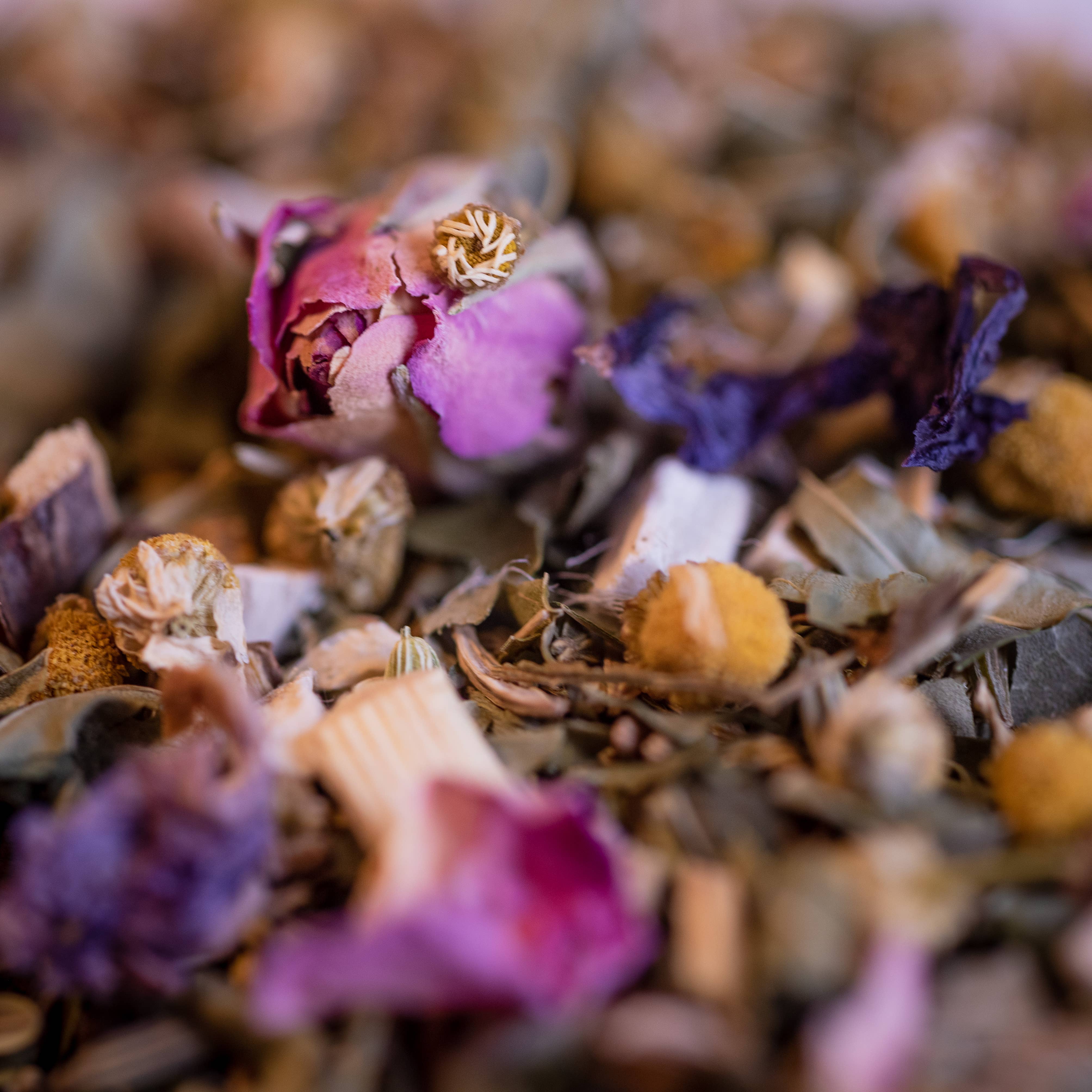 TISANE TRANSIT BIO 100G