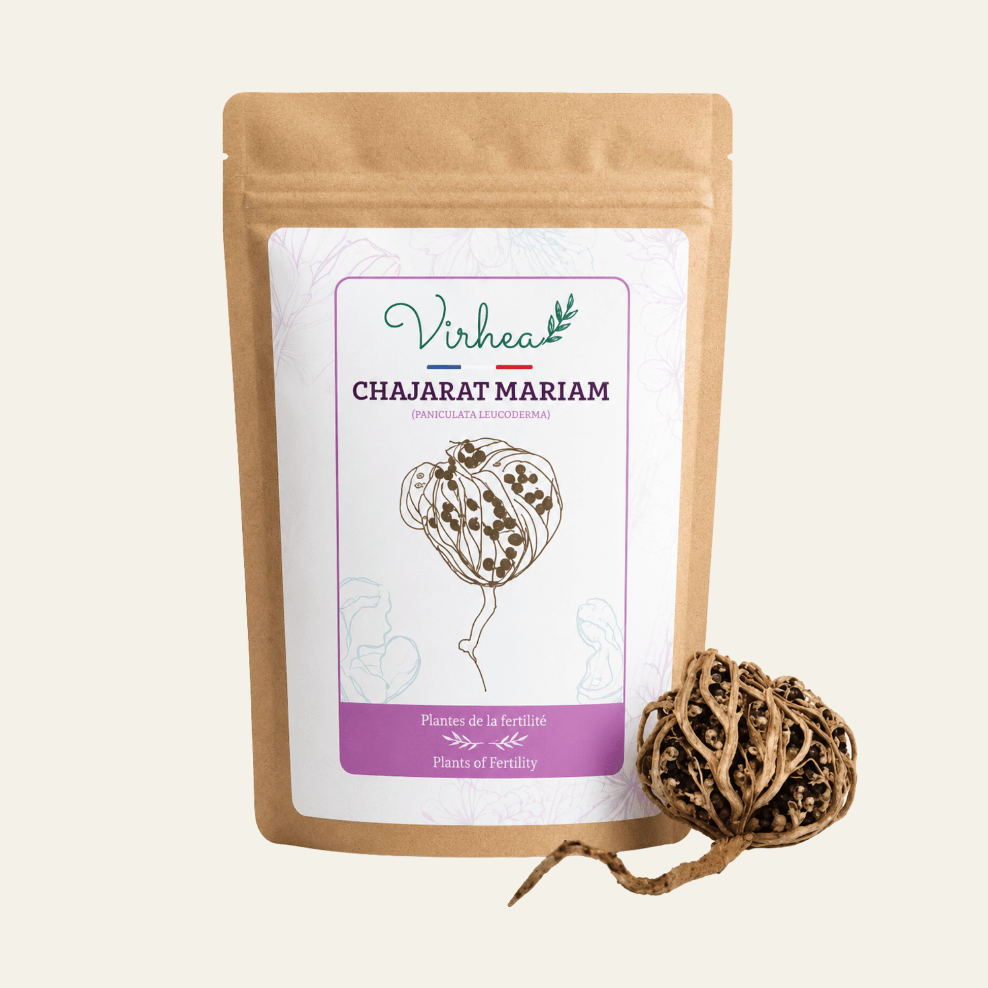 Chajarat Mariam, Rose de Jéricho d’Orient Anastatica hierochuntica. Plante traditionnelle associée au féminin, au renouveau et aux rituels de fertilité.