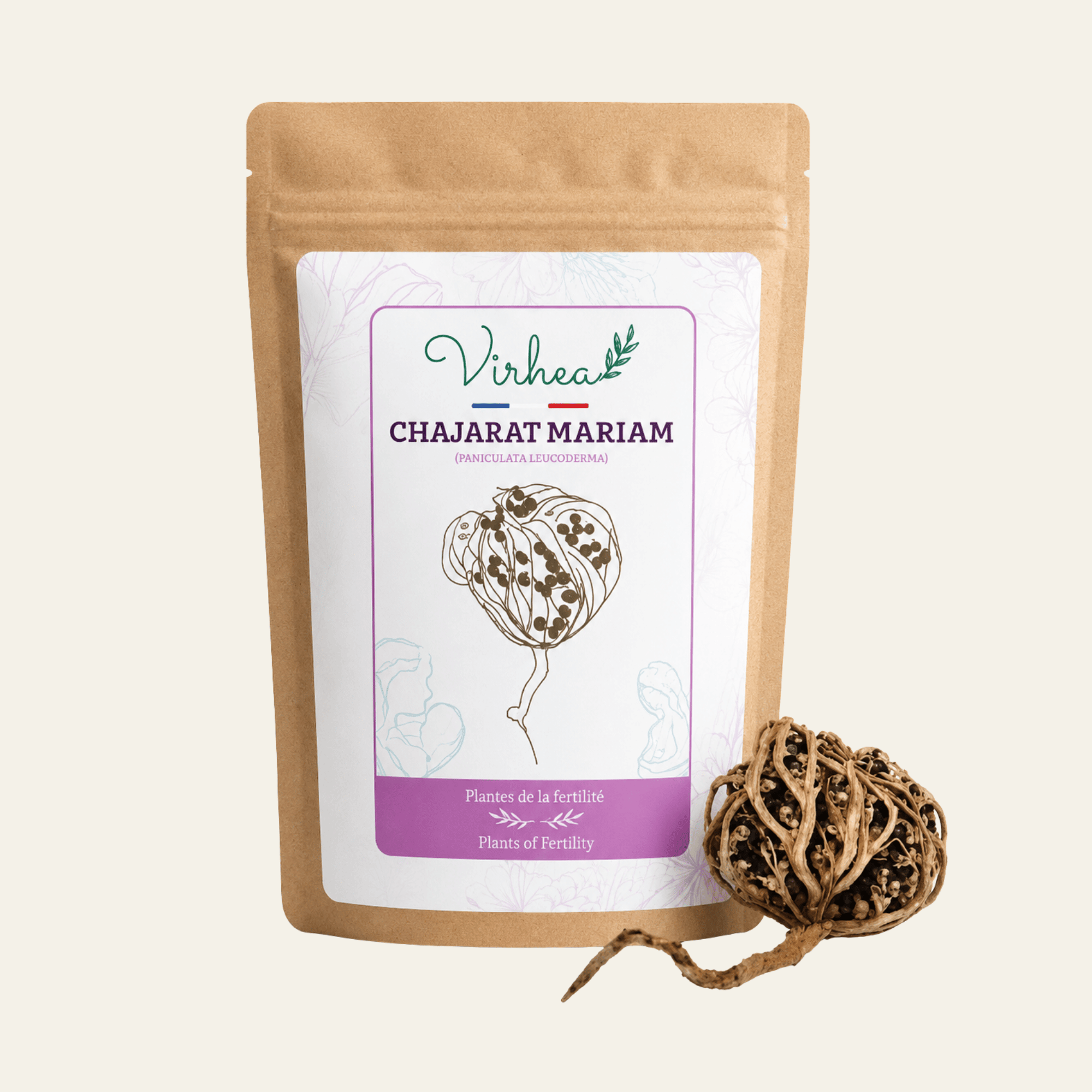 Chajarat Mariam, Rose de Jéricho d’Orient Anastatica hierochuntica. Plante traditionnelle associée au féminin, au renouveau et aux rituels de fertilité.