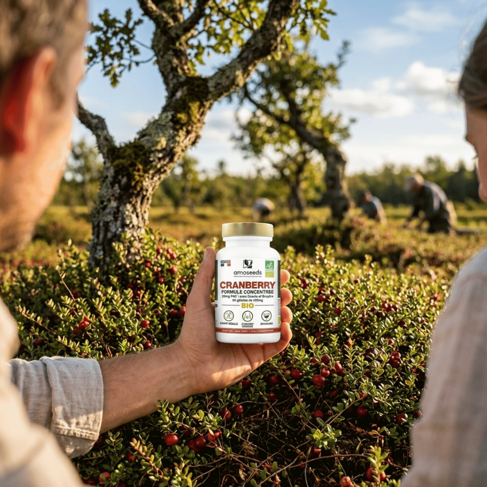 Gélules bio de cranberry titrée 5% PAC, cassis et bruyère vendu en suisse chez terrame