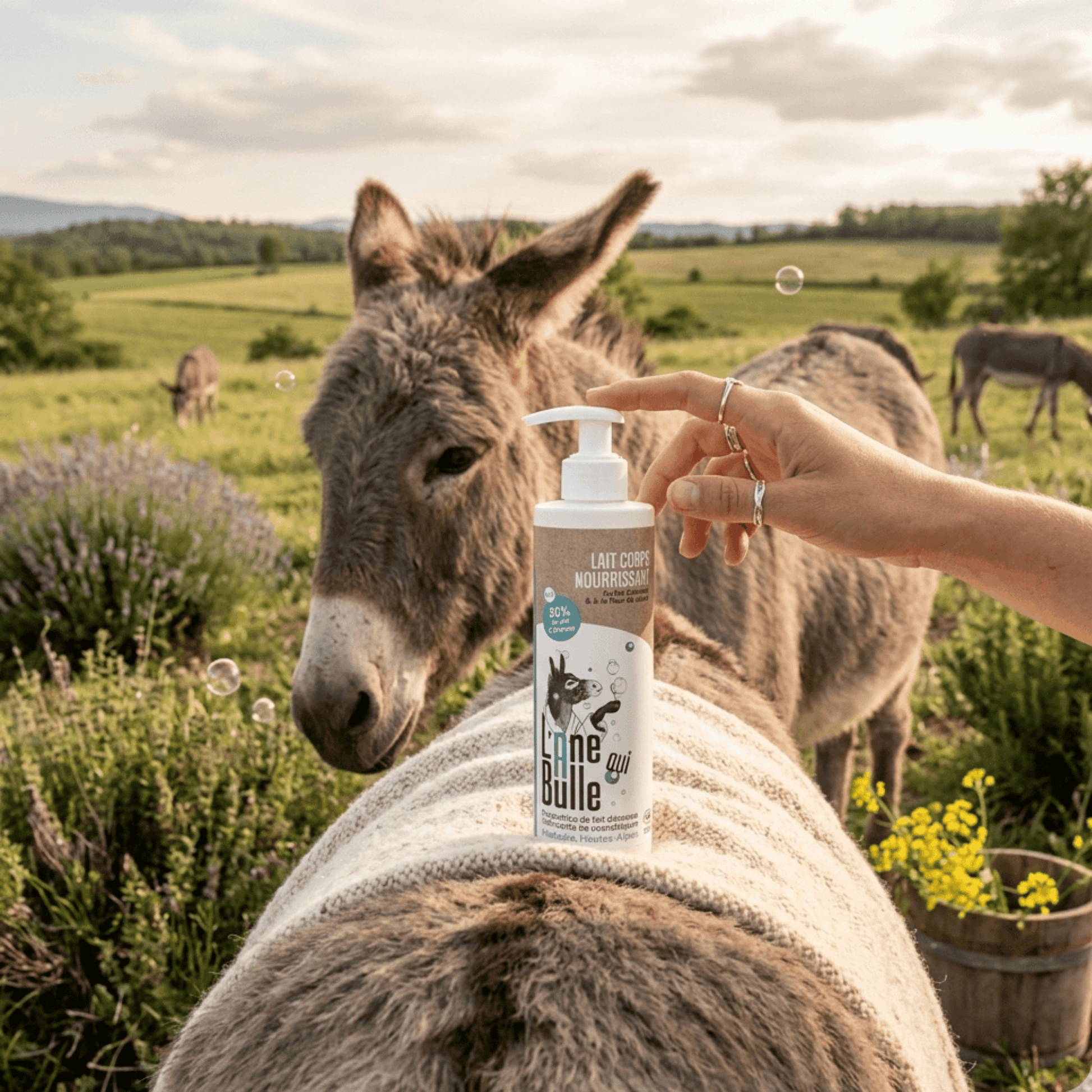 crème corps au lait d'anesse
