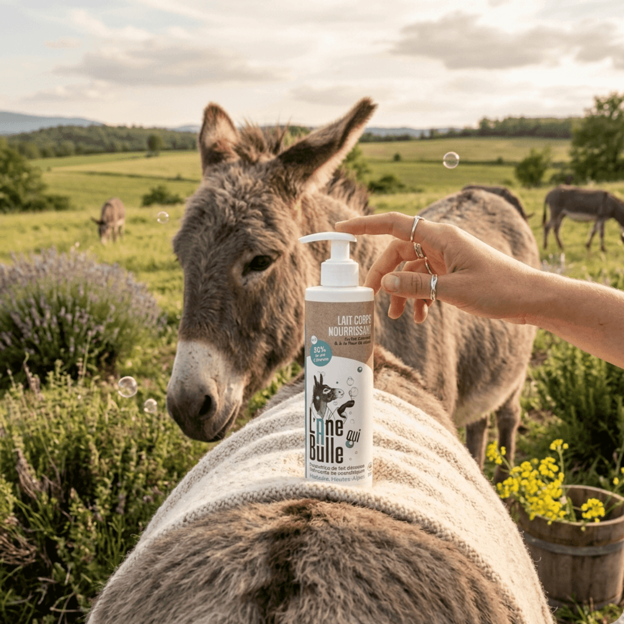 crème corps au lait d'anesse