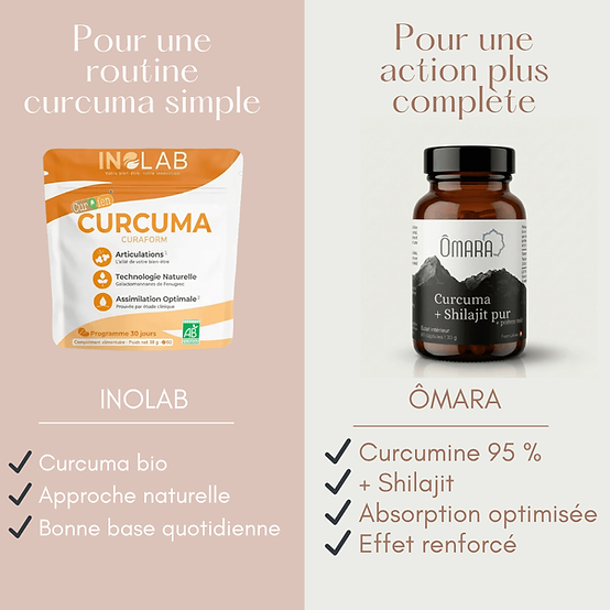 curcuma bio de la marque inolab vendu en suisse chez terrame