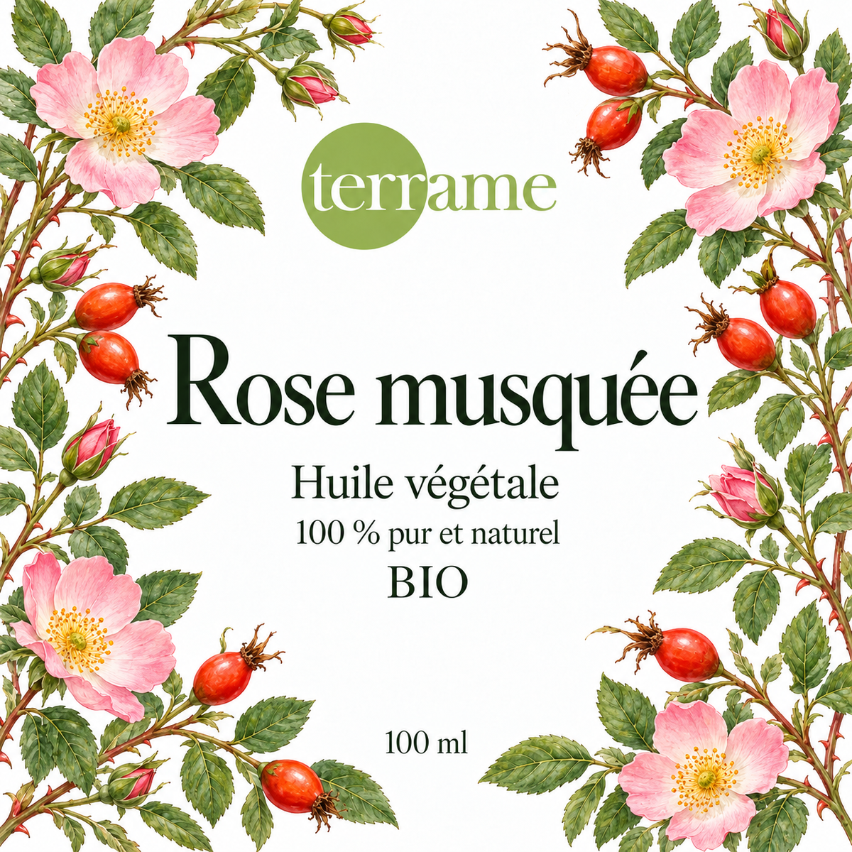 Rose musquée bio 100 ml – Terrame