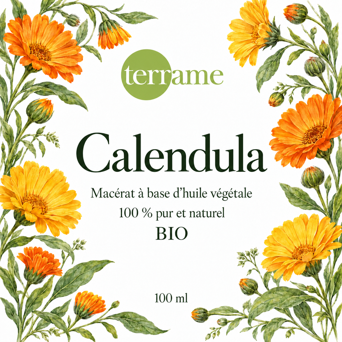 Calendula bio 100 ml – Terrame