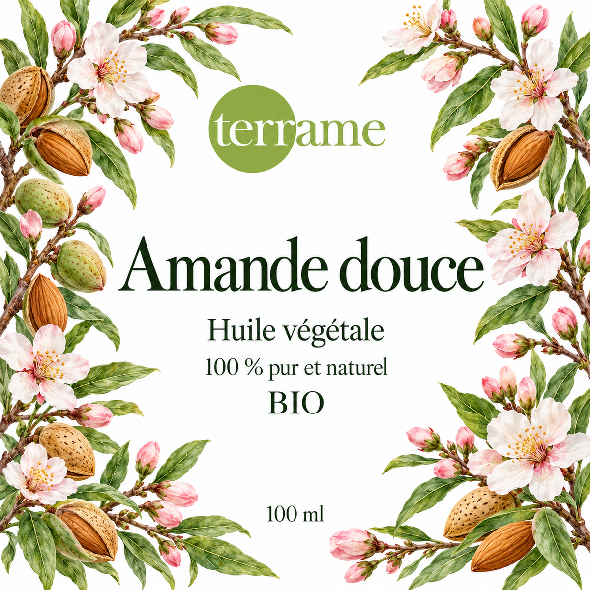 Amande douce bio 100 ml – Terrame