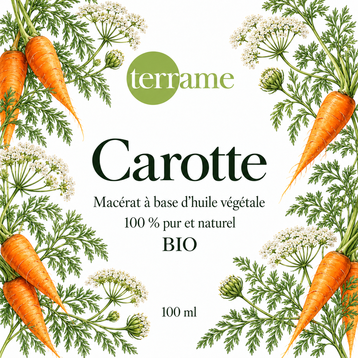 Carotte bio – Terrame