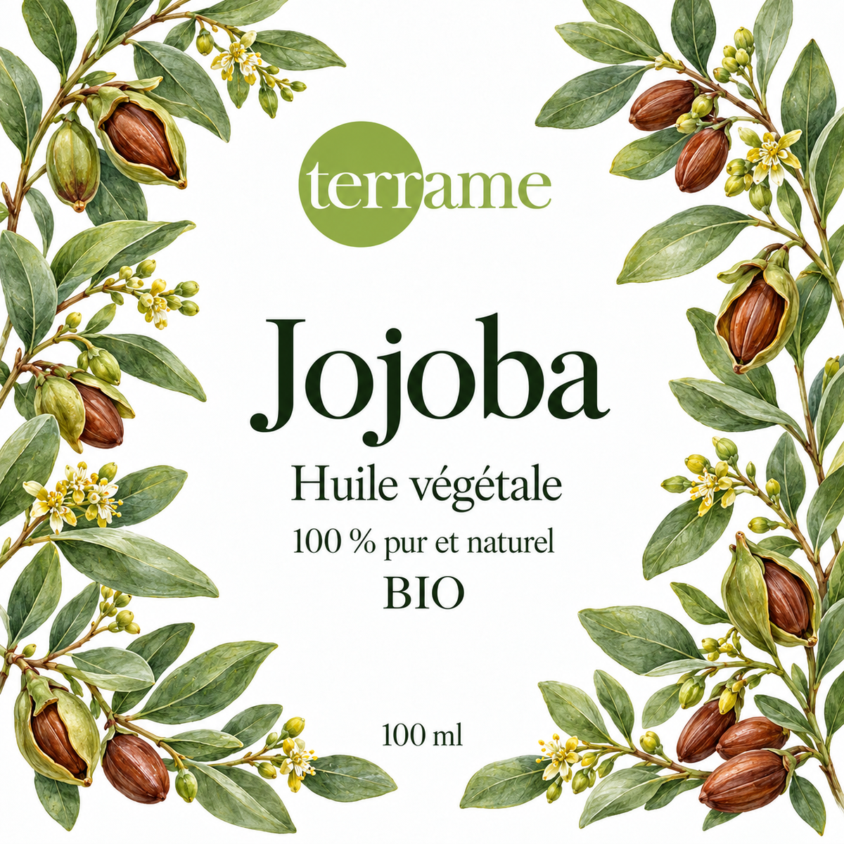 Jojoba bio 100 ml – Terrame