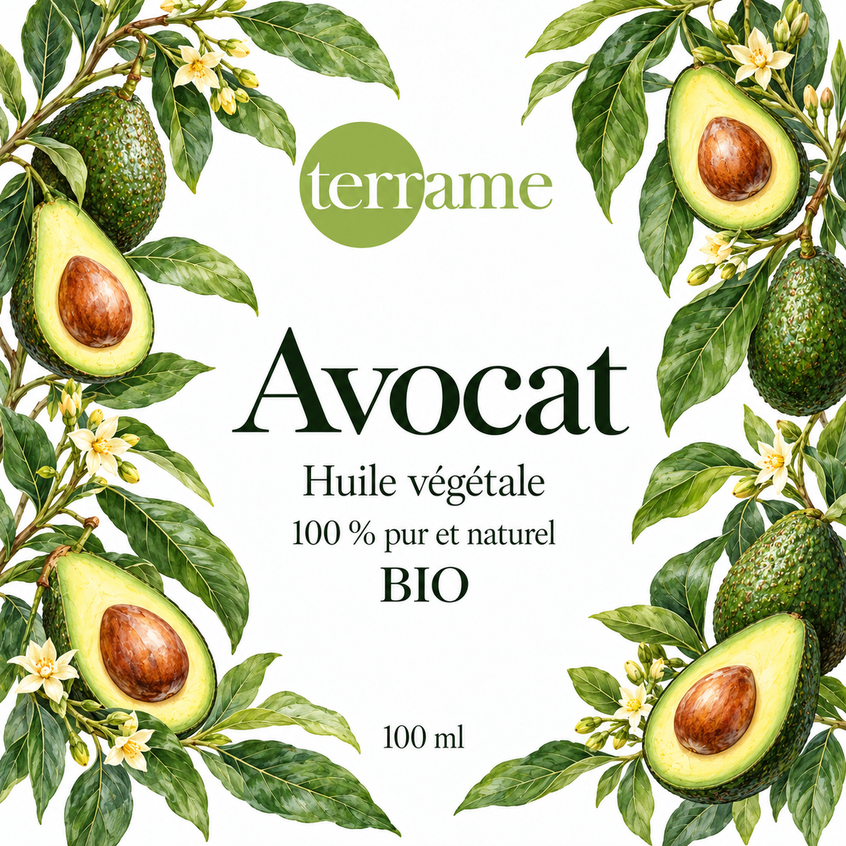 Avocat bio – Terrame