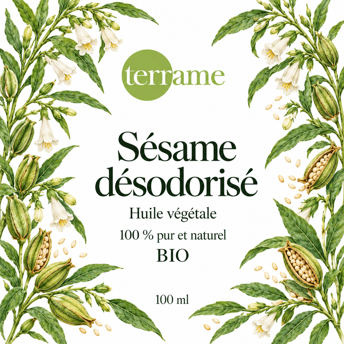 Sésame désodorisé bio 100 ml – Terrame