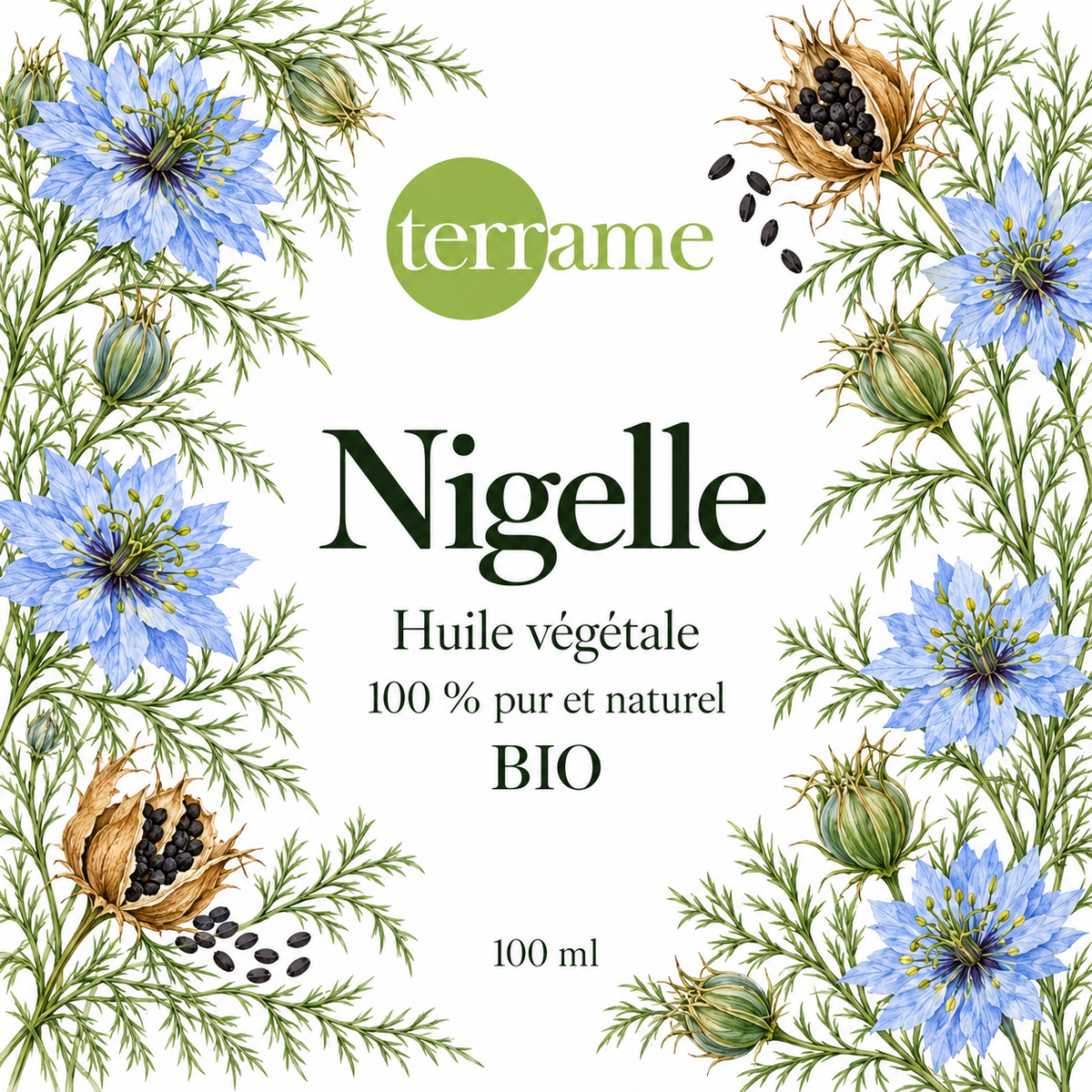 Nigelle bio – Terrame