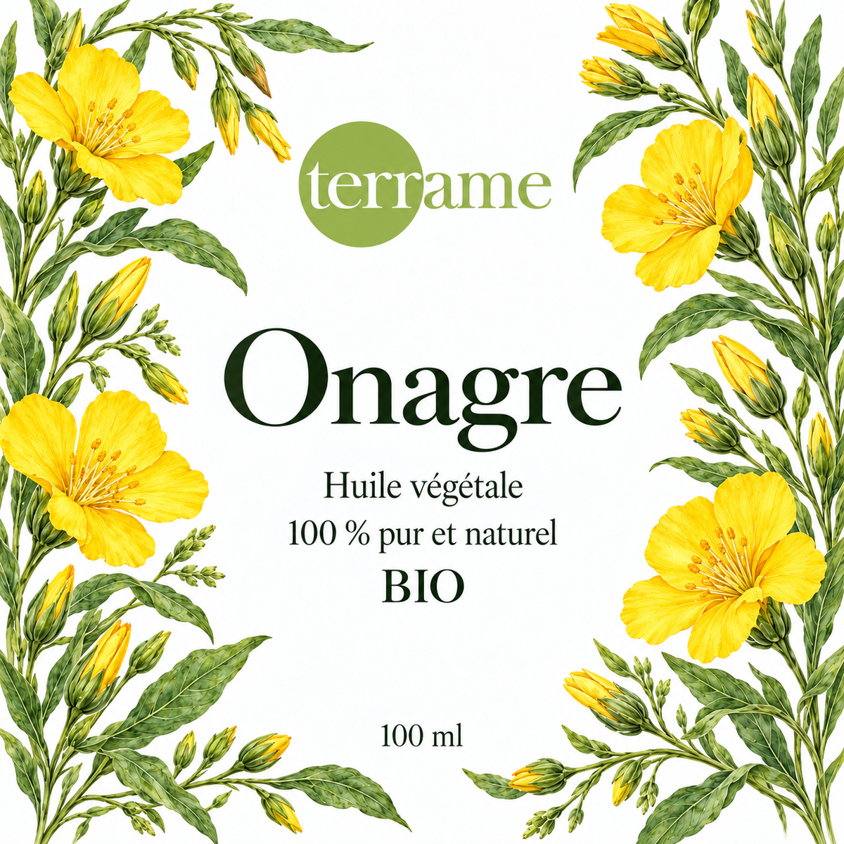 Onagre bio – Terrame