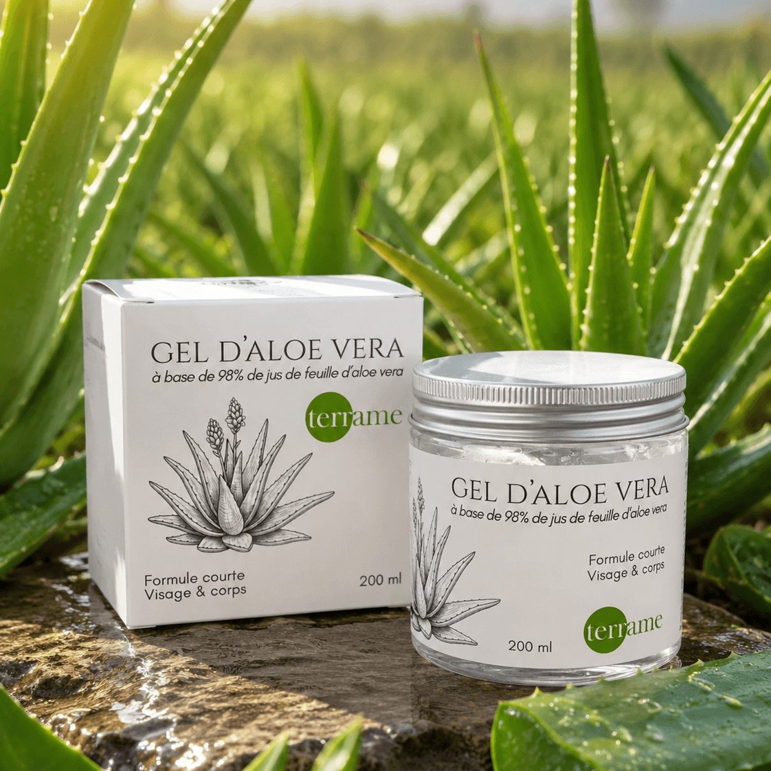 Gel d'aloe vera en pot de 200 ml, bio et suisse