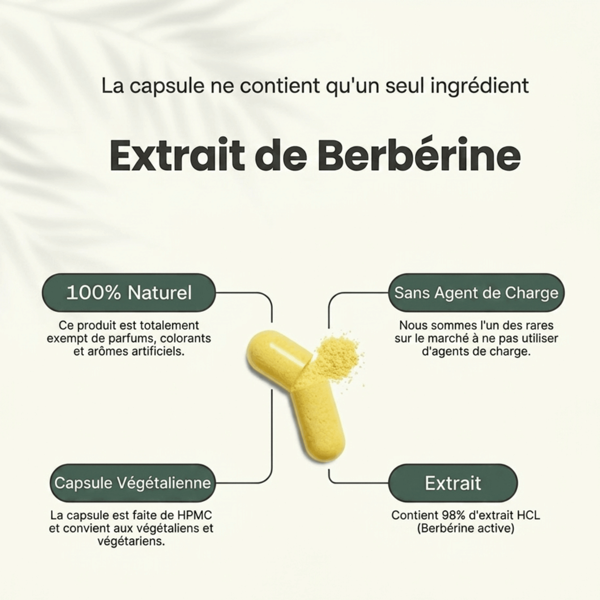 Gélules de berbérine 400 mg issues de Berberis aristata. Formule vegan, sans additifs, idéale pour une routine métabolique ciblée.
