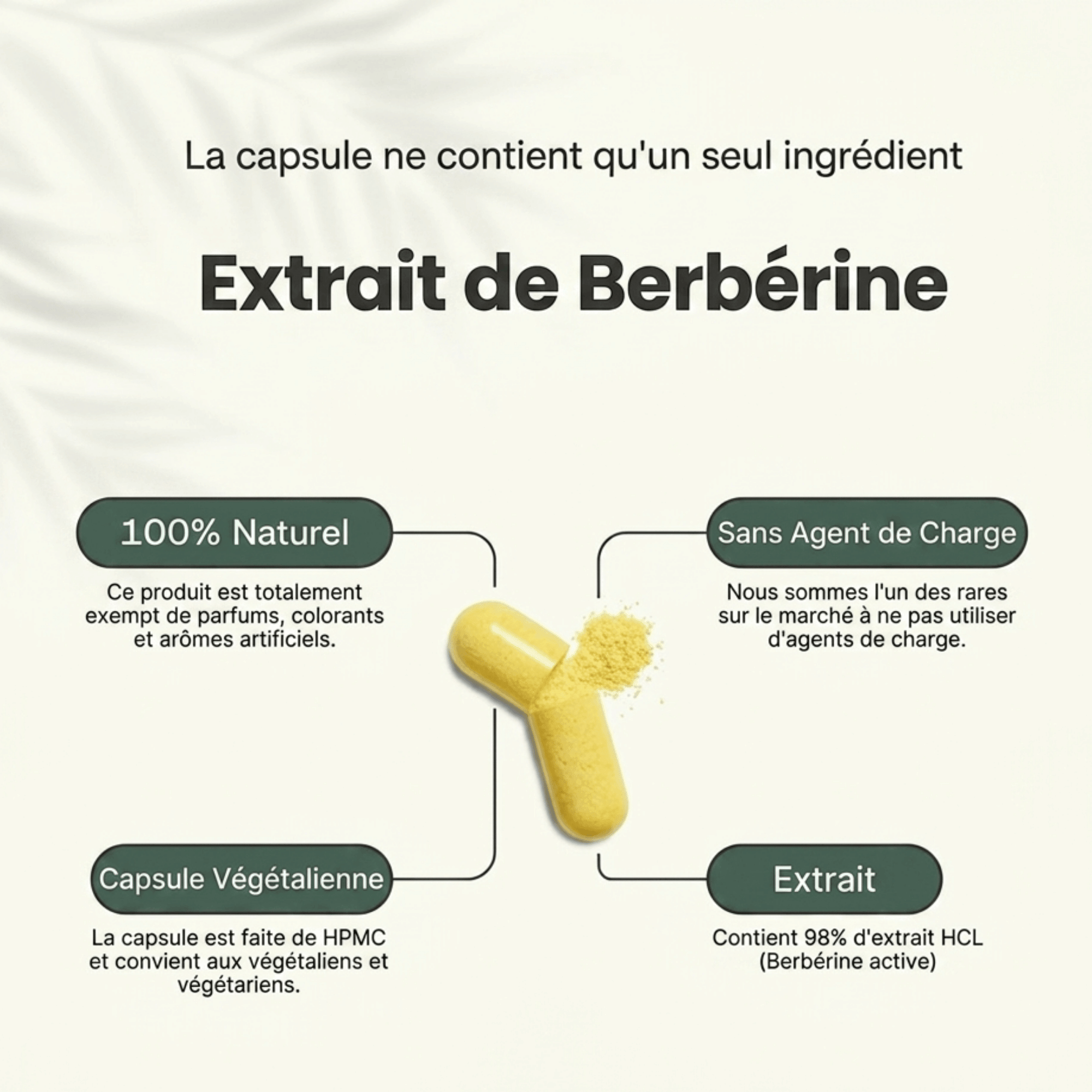 Gélules de berbérine 400 mg issues de Berberis aristata. Formule vegan, sans additifs, idéale pour une routine métabolique ciblée.