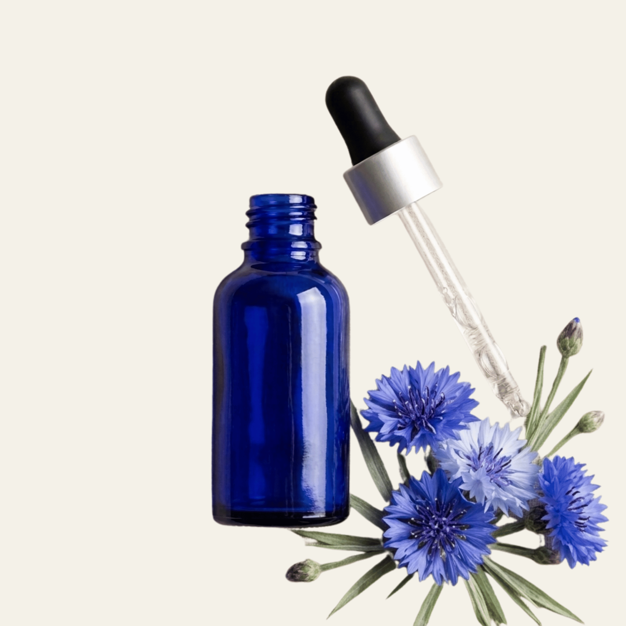 Bio-Kornblumenhydrolat – 200 ml