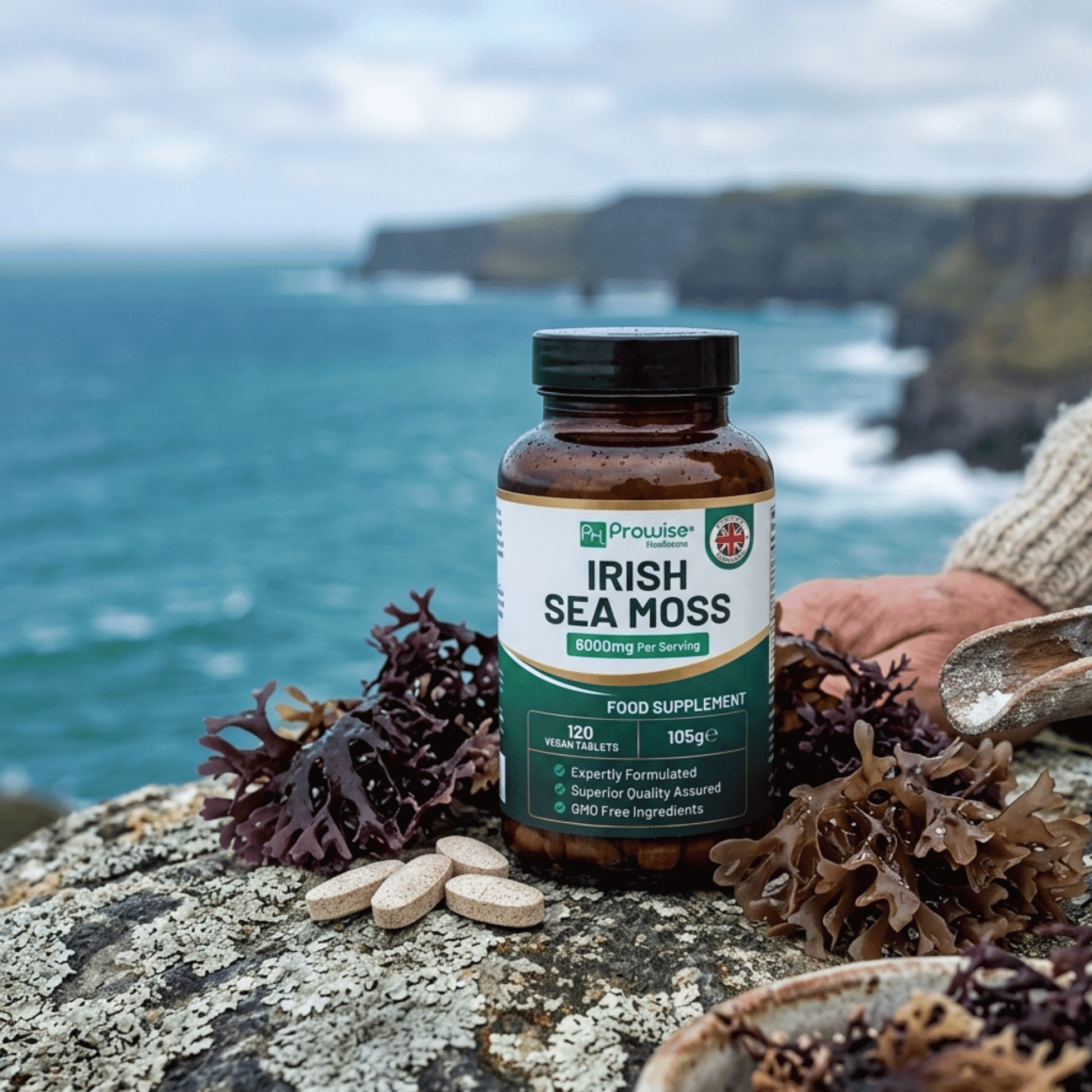Irish Sea Moss Prowise 6000 mg par portion. 120 comprimés vegan, extrait 15:1, source naturelle d’iode et de minéraux.