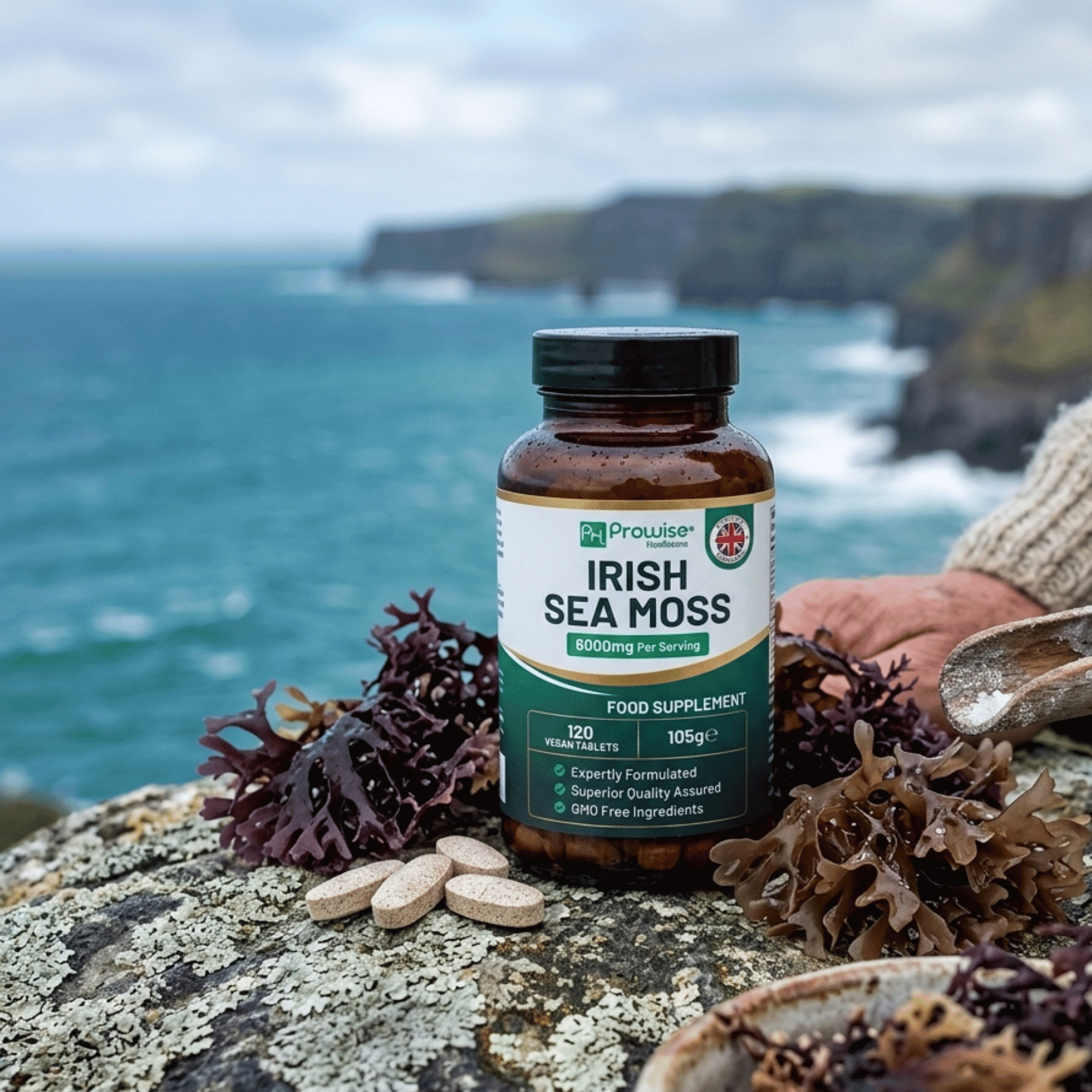 Irish Sea Moss Prowise 6000 mg par portion. 120 comprimés vegan, extrait 15:1, source naturelle d’iode et de minéraux.