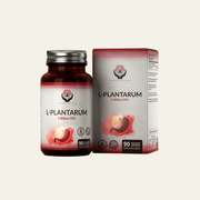 Probiotique Lactobacillus plantarum